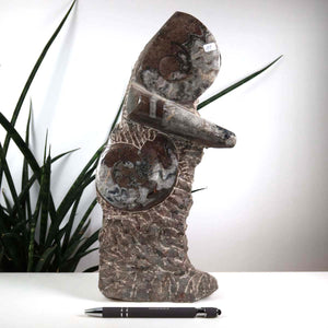 Ammonit - Versteinertes echtes Fossil mit Natursteinsockel, handgeschliffen und poliert Unikat-Nr. 11, vor Pflanzenhintergrund