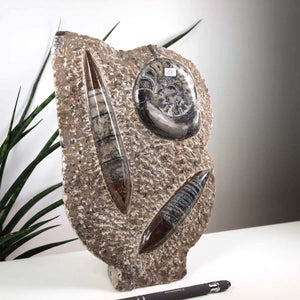 Ammonit - Versteinertes echtes Fossil mit Natursteinsockel, 27 x 17 cm - Nr. 13, einzigartiges marokkanisches Fossil auf Steinsockel