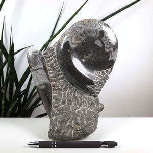 Ammonit - Versteinertes echtes Fossil mit Natursteinsockel, 20 x 13 cm - Nr. 18 aus Marokko