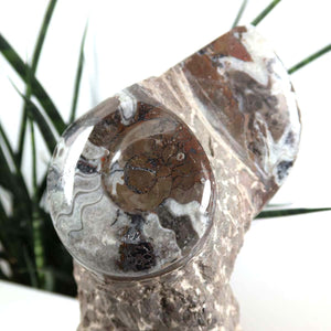Ammonit - Versteinertes echtes Fossil mit Natursteinsockel, 20 x 10 cm - Nr. 33