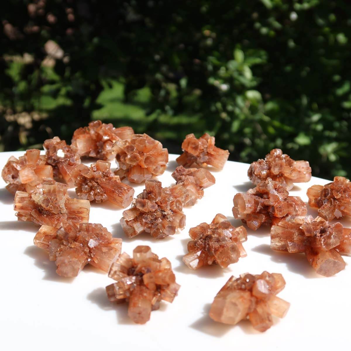 Stunning raw natural Aragonite crystal clusters from Morocco on display, perfect for collectors and mineral enthusiasts.