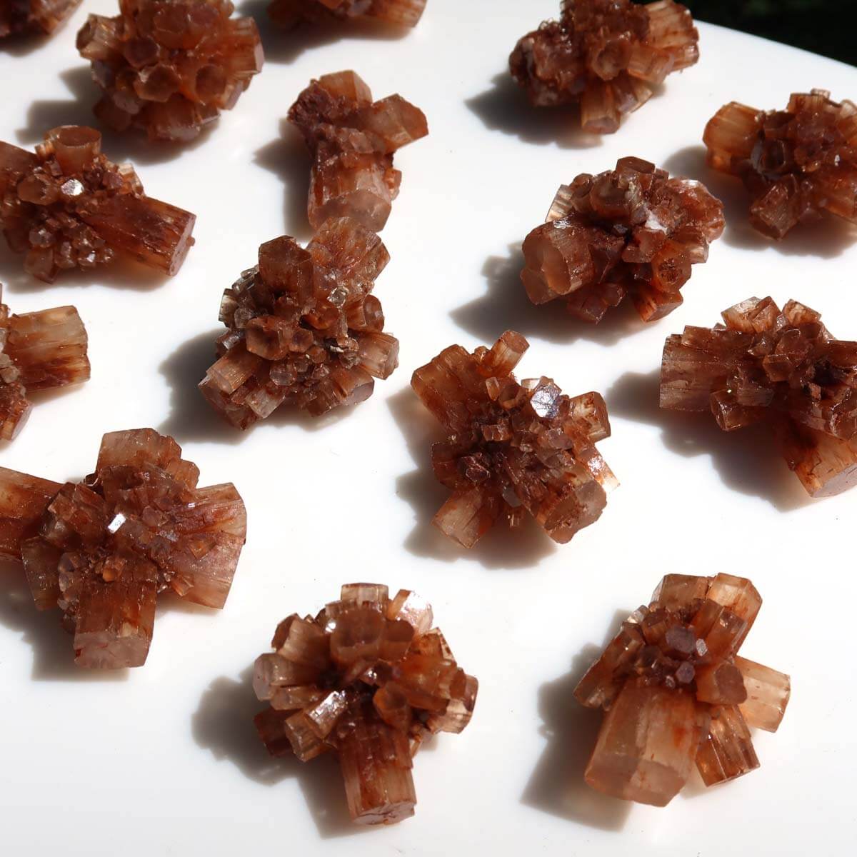 Stunning raw natural Aragonite crystal clusters from Morocco on display, perfect for collectors and mineral enthusiasts.
