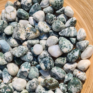 Baumachat - Handschmeichler mit grünen, pflanzenähnlichen Maserungen in einer Schale, ideal für Naturfreunde und Sammler.