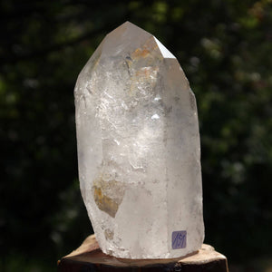 Bergkristall Quarzspitze 11x5 cm für Meditation und Klarheit, handgeschliffen, Brasilien, beeindruckende Facetten und klare Struktur