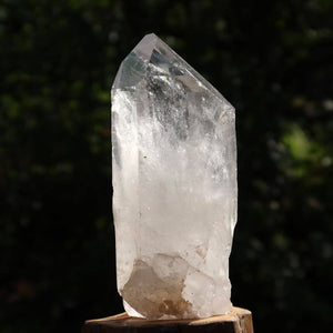 Bergkristall Quarzspitze 14x6 cm, geschliffen für Klarheit und Meditation, Unikat Nr. 154 aus Brasilien auf Holzständer.