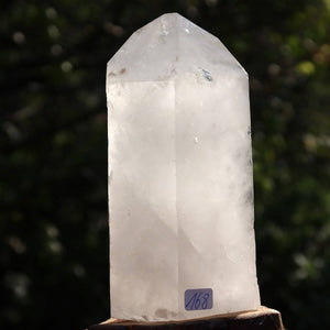 Geschliffene Bergkristall Spitze Nr. 168 aus Brasilien für Meditation und Klarheit, zeigt natürliche Optik und funkelnde Facetten.
