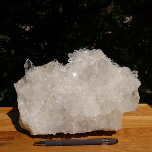Large raw clear quartz crystal cluster from Brazil on wooden table, showcasing natural clarity and unique formations, with pen for scale.