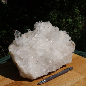 4.8kg Bergkristall Stufe in natürlicher Form, klar und roh auf Holz, mit Kugelschreiber zur Größenreferenz.