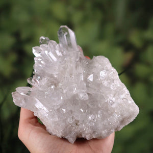 Hand holding Bergkristall Stufe, raw Brazilian crystal with clear tips, showcasing natural clarity and unique structure.