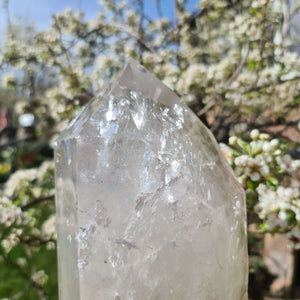 Glänzender natürlicher Bergkristall in der Natur, ideal als Raumdekoration und Meditationselement.