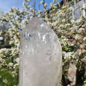 Clear quartz crystal point in a garden setting, ideal for natural decor and energy balance.