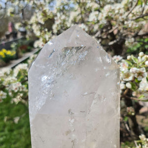 Natural crystal point with clear reflections in a blooming garden setting, perfect for meditation and decor enhancement.