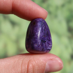 Tscharoit Handschmeichler 23mm UNIKAT, tiefe violette Farbe, kaufen online, erhältlich in Graz und Wiener Neustadt, Steinweltn.