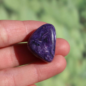 Tscharoit Edelstein, tiefviolett, in Hand gehalten. Perfekt als Handschmeichler oder Anhänger. Kaufen online bei Steinweltn.