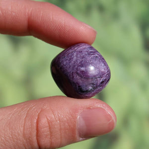 Nahaufnahme eines Charoit Handschmeichlers mit tiefvioletten Mustern, erhältlich online bei Steinweltn in Graz und Wiener Neustadt.