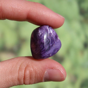 Charoit Handschmeichler 19mm, einzigartiger violetter Edelstein aus Russland, ideal als Anhänger oder Kette, kaufen online.