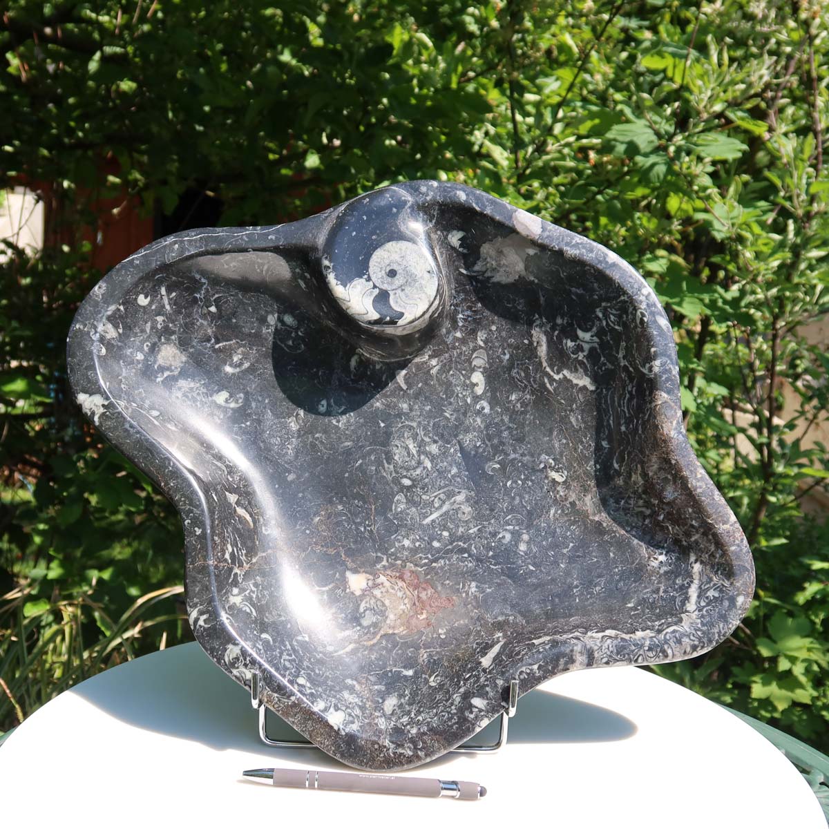 Orthoceras Schale XL - 48x50cm - 5,2kg - Fossilgestein - Nr. 64 auf weißem Tisch mit Hintergrund von Pflanzen.