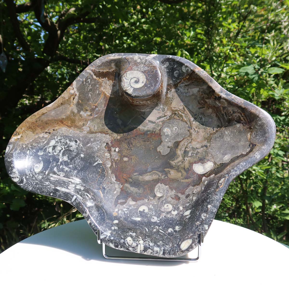 Große Orthoceras Schale XL - 48x39cm -4,7kg - Fossilgestein - Nr. 65, Fossilschale in natürlichem Design.
