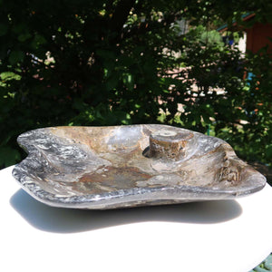 Große Orthoceras Schale XL - 48x39cm -4,7kg - Fossilgestein - Nr. 65, einzigartige fossile Schale mit charakteristischen Mustern.