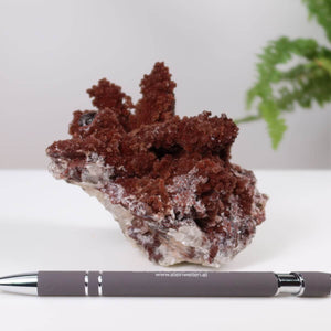 Hämatitquarz Bergkristall aus Marokko, 14x11x12cm, neben Kugelschreiber. Perfekt für Sammler, online kaufen bei Steinwelten.