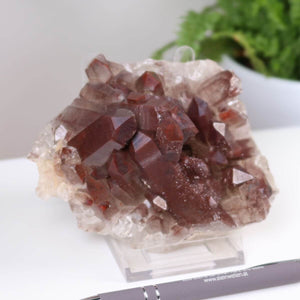 Seltene Hämatit Quarz Bergkristall Stufe aus Marokko, Eisenquarz Sammlerstück mit intensiver Farbe, online kaufen bei Steinwelten.
