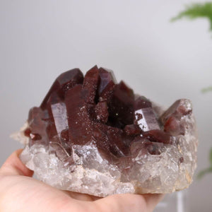 Hämatit Quarz Bergkristall Stufe aus Marokko, seltene Eisenquarz Sammlerstücke, online kaufen bei Steinwelten Graz und Wiener Neustadt.