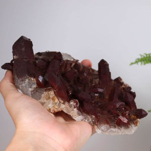 Seltene Hämatit Quarz Bergkristall Stufe aus Marokko in Hand, glänzende Eisenquarz Kristalle online in Graz und Wiener Neustadt kaufen.