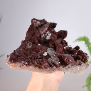Hand holding a rare Eisenquarz (Hämatit Quarz) crystal from Morocco, rich in color and quality. Available for online purchase at Steinwelten.