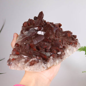 Exquisite Hämatit Quarz Bergkristall aus Marokko, Eisenquarz Sammlerstück, ideales Highlight für dein Zuhause.