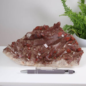 Seltene Hämatit Quarz Bergkristall Stufe aus Marokko mit intensiver roter Farbe, präsentiert neben einem Stift auf weißem Hintergrund. Eisenquarz.