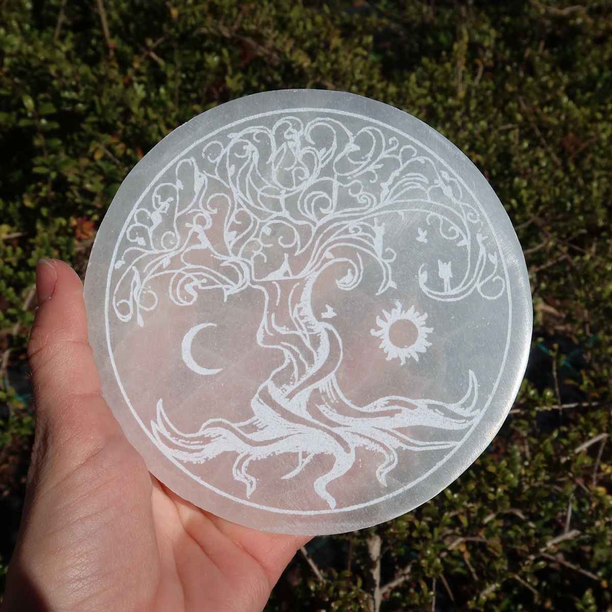 Selenit Ladeplatte - Baum des Lebens - Sonne u. Mond - 12cm, handgehalten in natürlicher Umgebung.