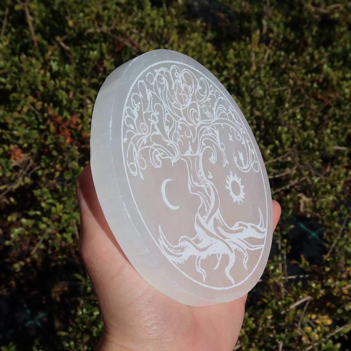 Selenit Ladeplatte - Baum des Lebens - Sonne u. Mond - 12cm, handgehalten in natürlicher Umgebung.