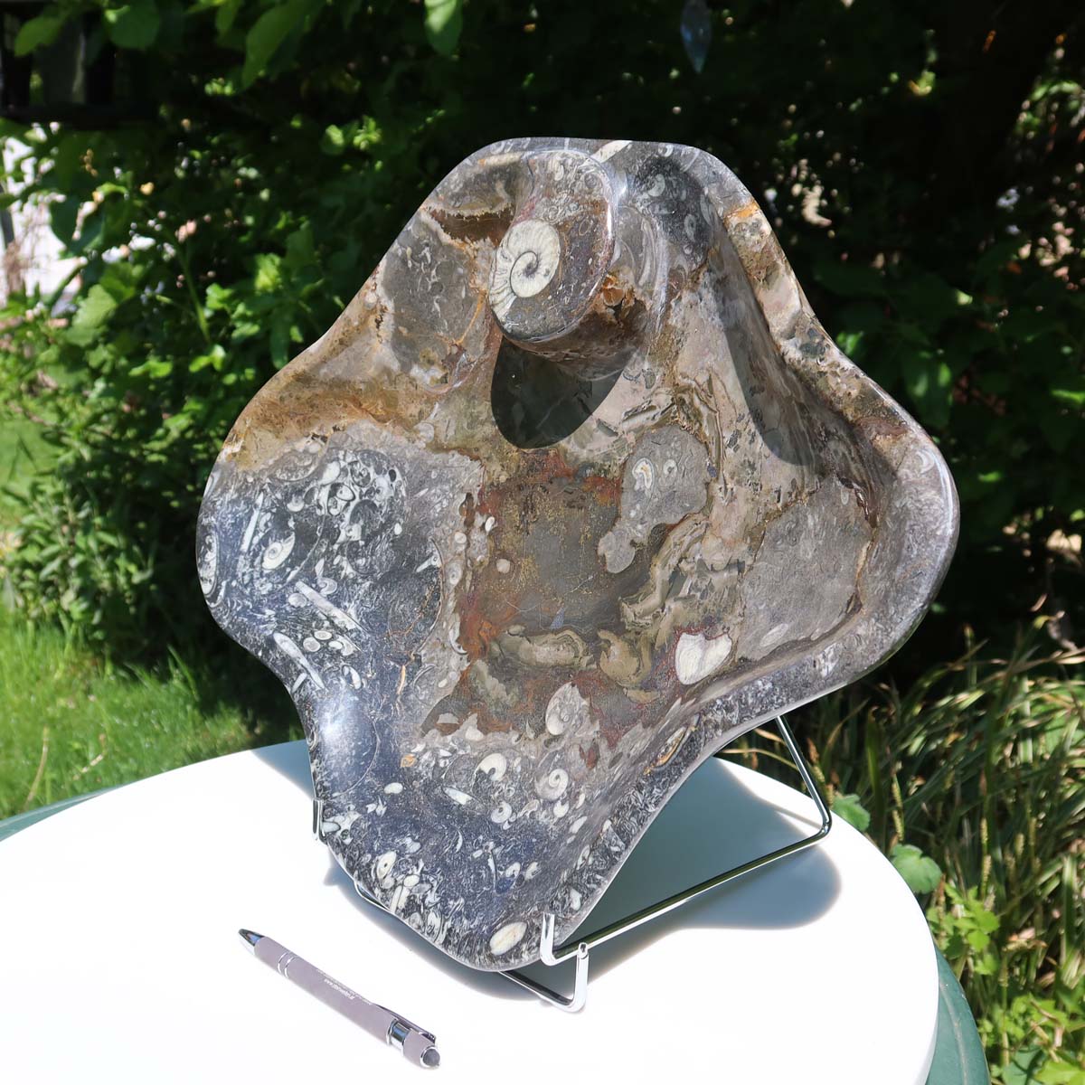 Große Orthoceras Schale XL - 48x39cm -4,7kg - Fossilgestein - Nr. 65, Fossilschale in natürlichem Design.