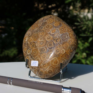 Polished Petoskey Stone fossil coral on stand with pen for size reference, natural patterns visible - Unique piece No. 11, 9x10x3 cm.