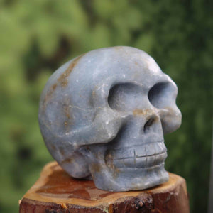 Handcrafted Angelite crystal skull with unique design, collector's item, 6x6 cm, on display against a natural background.