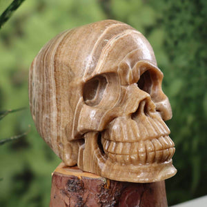 Handcrafted Aragonite Crystal Skull, Graz and Wiener Neustadt, exceptional shape, 13x9 cm, unique gemstone collector's item.