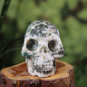 Echter Baumachat Kristallschädel handgefertigt, Sammlerstück, 6x5 cm. Online kaufen bei Steinwelten.