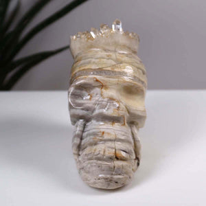 Handcrafted Bergkristall crystal skull, unique collectible stone carving, 8x10 cm, buy crystal skull online, gemstone totenkopf.