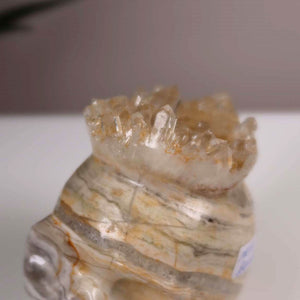 Handmade Crystal Skull from Rock Crystal - Unique Gemstone Design for Collectors - Buy Crystal Skulls Online