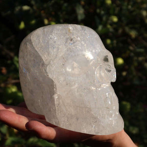 Handcrafted XL crystal skull made from Bergkristall, unique collector's piece by Graz Mineralien und Edelsteine.