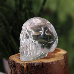 Handcrafted clear crystal skull made from single piece of quartz, resting on wood, unique design, 7x5 cm collectible item.