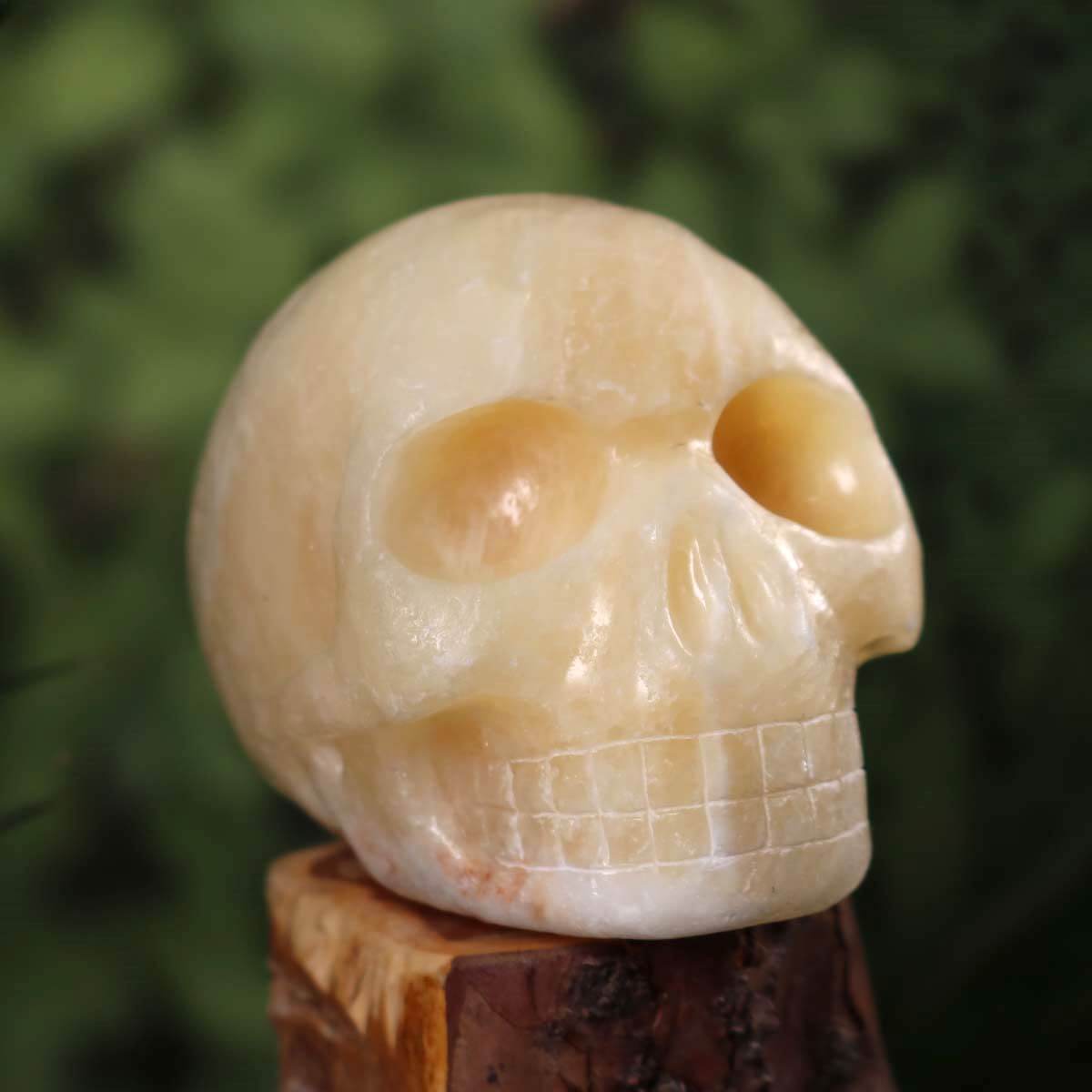 Calcit Orange Kristallschädel handgefertigt - Skull - 13x10 cm Nr. 252 auf Holz unterlegt.