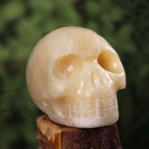 Calcit Orange Kristallschädel handgefertigt - Skull - 13x10 cm Nr. 252 auf Holz unterlegt.