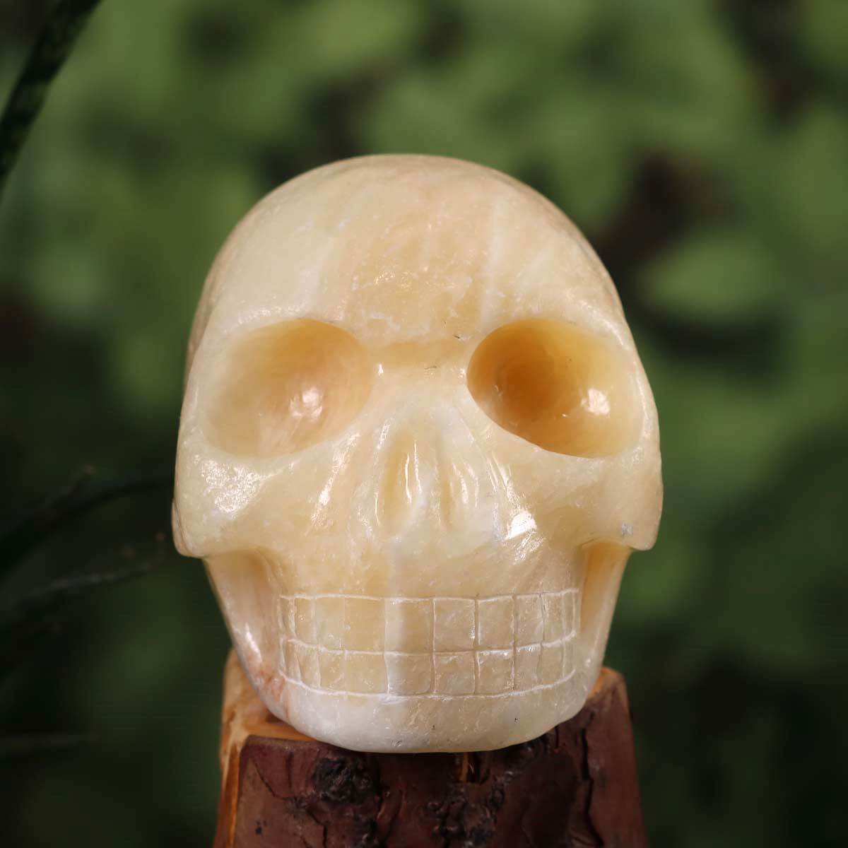 Calcit Orange Kristallschädel handgefertigt - Skull - 13x10 cm Nr. 252 auf Holz unterlegt.