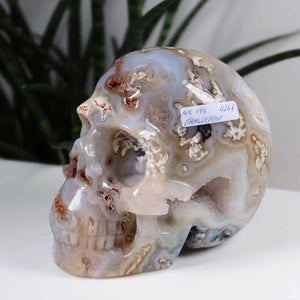 Chalcedon Kristallschädel - 1A außergewöhnliche Form -12x10 cm Nr. 144, handgearbeitet, detailreich und schön.