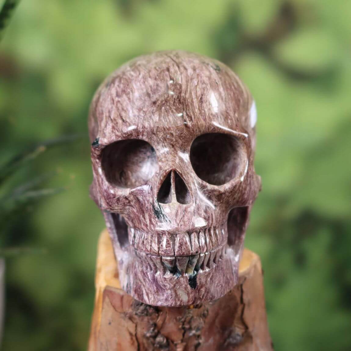 Großer handgefertigter Charoit Kristallschädel auf Holz, einzigartiger Edelstein Totenkopf online kaufen, Sammlerstück Nr. 160.