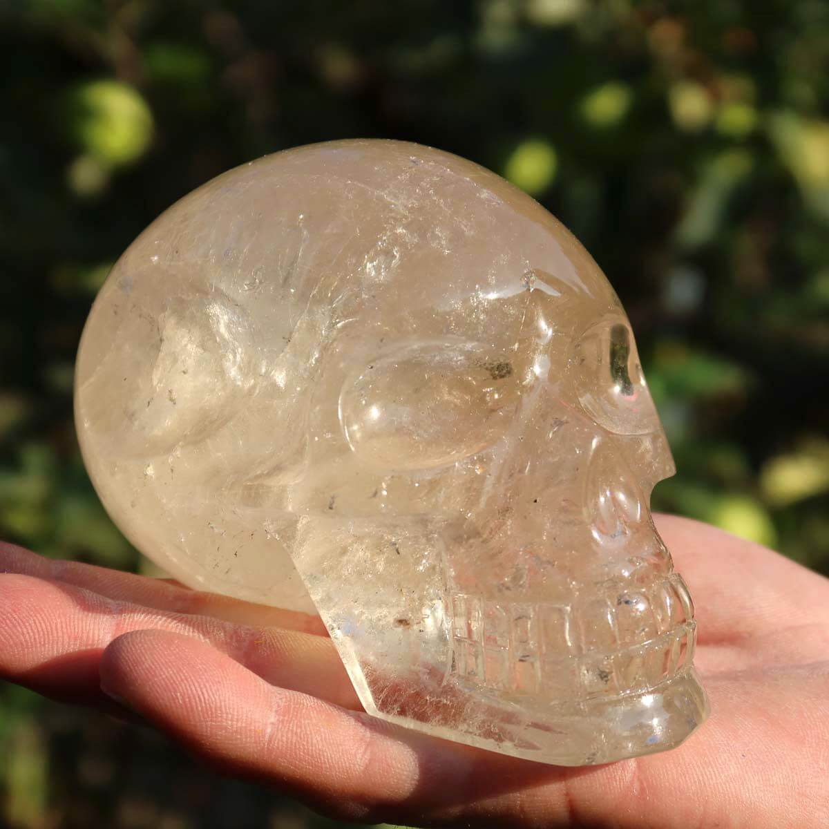 Citrin Kristall Schädel 1A Qualität in Hand, 12x8 cm, Sammlerstück, transparent, kunstvoll gearbeitet