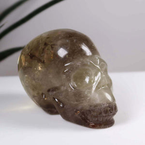 Echter Kristall Citrin Schädel 10x7 cm handgefertigt, einzigartiges Meisterwerk – Graz Mineralien und Edelsteine Amethyst Drusen