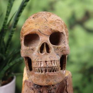 Handcrafted natural stone crystal skull, circa 12x9 cm, showcasing intricate details, available at Wiener Neustadt Mineralien.