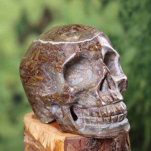 Echter großer Fossilien Kalkstein Kristall Schädel, handgefertigt. Unikat Edelstein Skull, ca. 11x8 cm, ideal für Sammler.